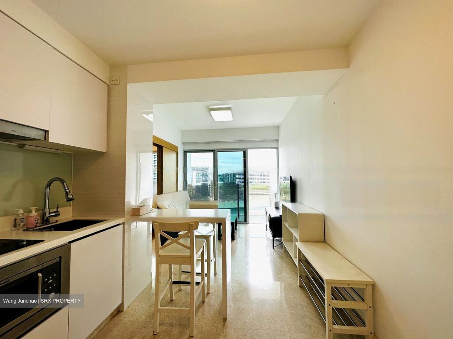 Eight Riversuites (D12), Condominium #496628671